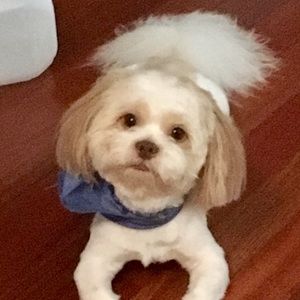 Meet your Posher, Jayde